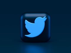 Vision log 962 - Twitter's prediction