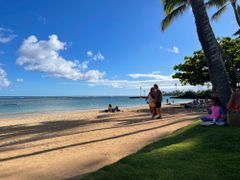 Dreams from members - Shiba, Lunc, BTC, we made it, and other dreams