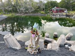 Vision log 983- BTC, LUNC, Big Island, Hawaii, Shiba & 7 years, & other dreams