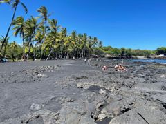 Vision log 982 - BTC, LUNC, 3 coins, Punalu'u Black Sand Beach, and other predictions