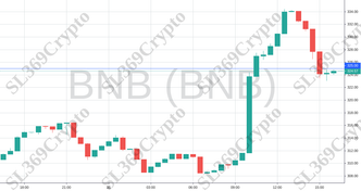 Accurate prediction 735 - BNB (BNB) hit $325