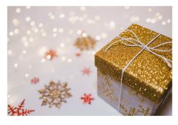 Merry Christmas and Happy Holidays to all