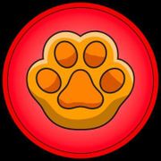 Vision log 1092 - All Shibarium's inspired/hype coins launched in recent days - High/low price for Pawswap, Shiba Pad, Dog Pad, Kennel