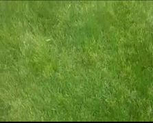 Vision log 1180- BTC in 2027-2030, the market in Q2 2024, prediction for BNB Tiger