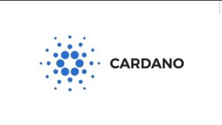 Vision log 1181 part 1 - Price prediction for BTC, ADA in 2027-2028, Doge, Quant, Rose, Casper, Obama, and Maui fire - things come in three