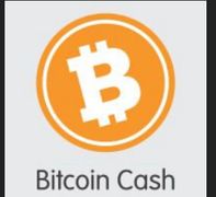 Vision log 1202 - BCH dream with Biden, price prediction for BCH and PYR