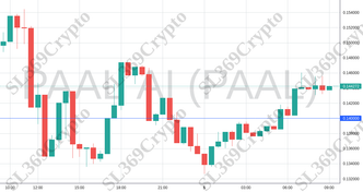 Accurate prediction 1537 - PAAL AI (PAAL) hit $0.14
