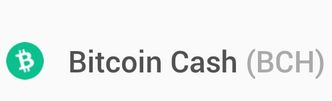 Vision log 1257 PART 24 and 1268 - All about BCH