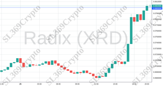 Accurate prediction 2051 - Radix (XRD) hit $0.08
