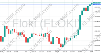 Accurate prediction 2120 - Floki (FLOKI) hit $0.000308