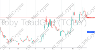 Accurate prediction 2134 - Toby ToadGod (TOBY) hit $0.00000002887