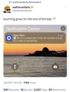 Vision log 1298 - Prediction financial markets Covid type crash, BTC nose dive, blood bath, weakness in the mkt, the market is going through gentrification, XRP, Kaspa, Tellor, Trump and the market, sand & gold dream, Fed rate cut, propaganda war