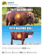 Vision log 1308- Prediction for BTC fake out rally, alt coin season, crypto market during Christmas time, prediction for Eth, ADA, XLM, XRP, Solana, AVAX, SUI, BCB