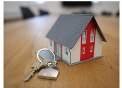 Crypto does change life- Doge, XLM, XRP - Trump train’s coins. Other predictions for ISO coins and XRP