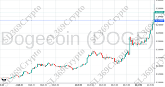 Accurate prediction 2370 - Dogecoin (DOGE) hit $0.25