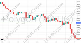 Accurate prediction 2675 - Polygon (MATIC) hit $0.28