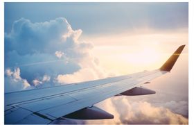 Vision log 1476- Nov 19 to Nov 21