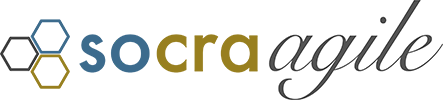 Optimizing Agile: Insights for Software Craftsmanship in Enterprise & Technical Coaching