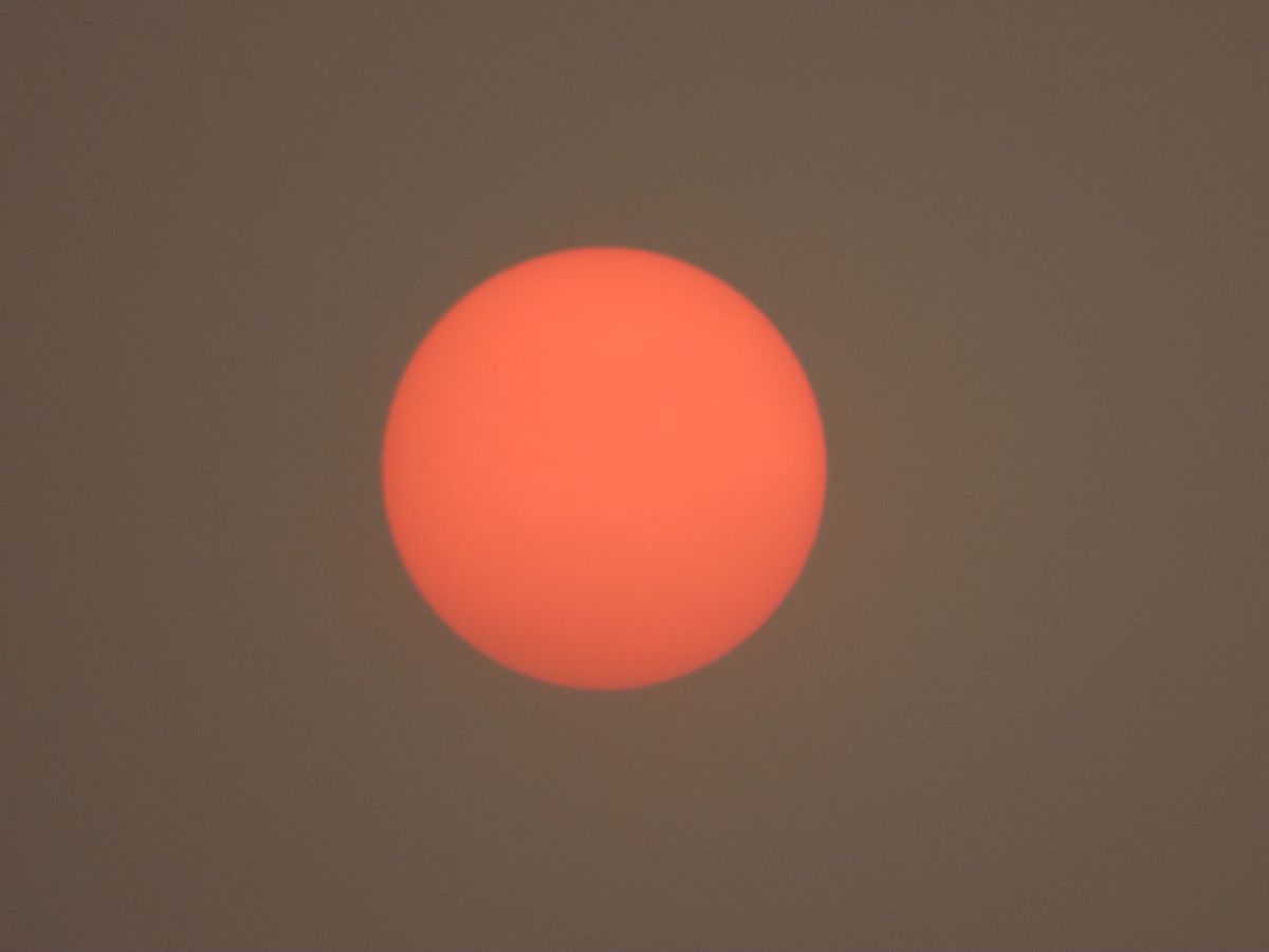 Everyone for Everyone