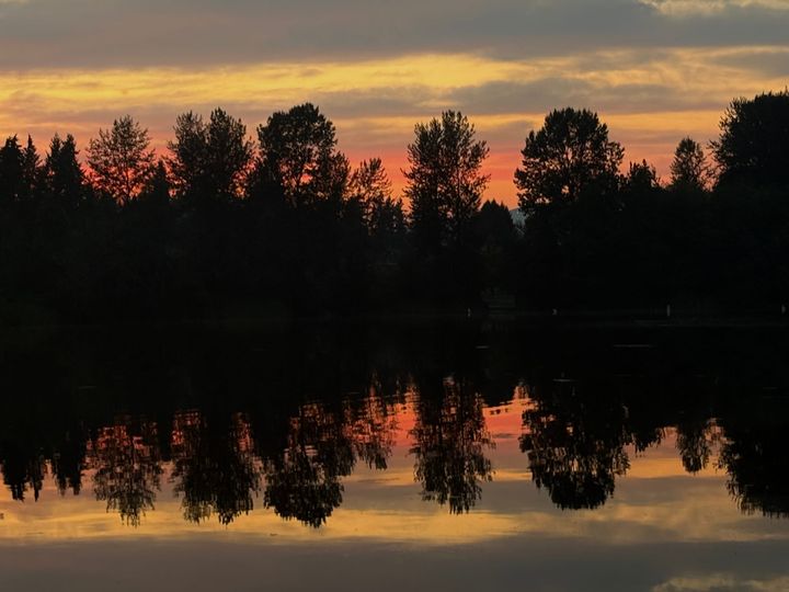 Fall Flash Sale: Get 1 Year for $40