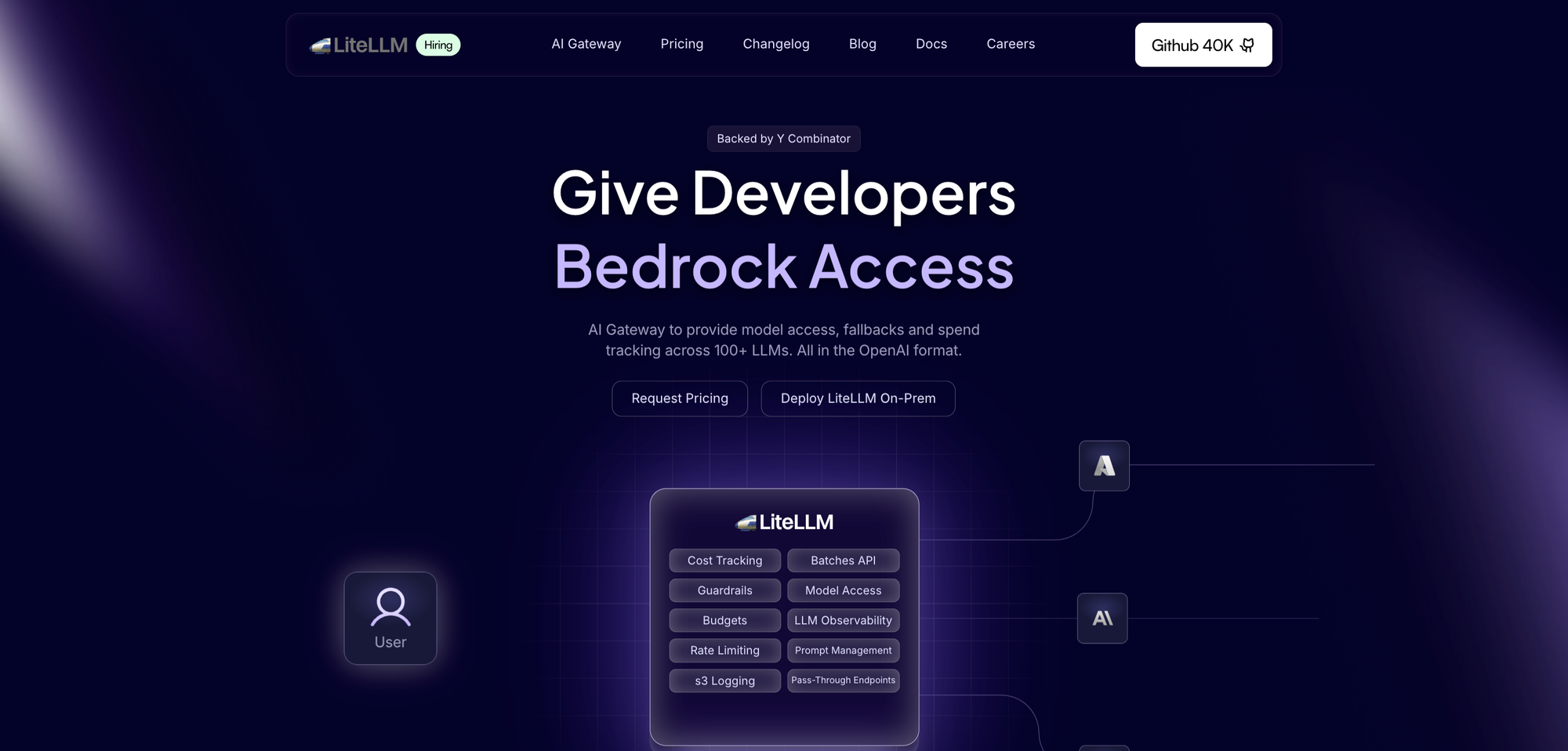 LiteLLM Homepage
