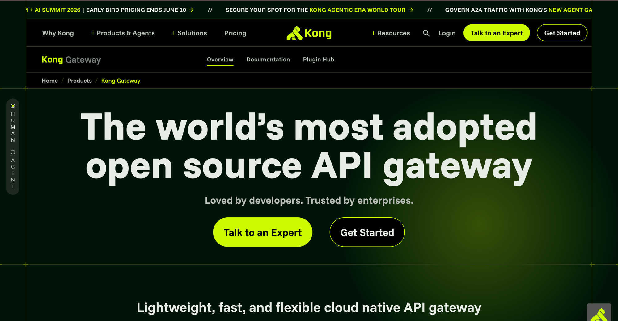 Kong AI gateway Homepage
