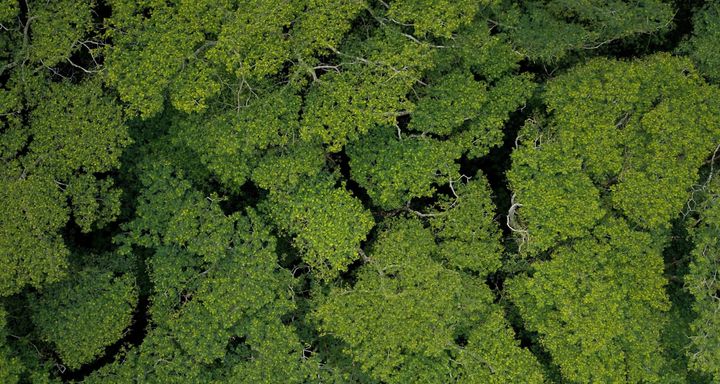 Societe Generale Anchors Ardian's €100M Article 9 Fund, Re-Pricing Nature-Based Patient Capital