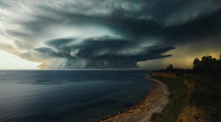 Between Beauty and Brutality