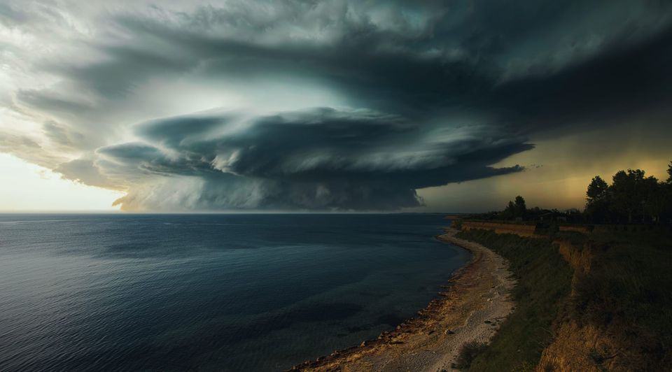 Between Beauty and Brutality