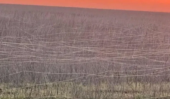 Notes From the Field: Drone fiber, the wrong grain wagons, and minefield philanthropy