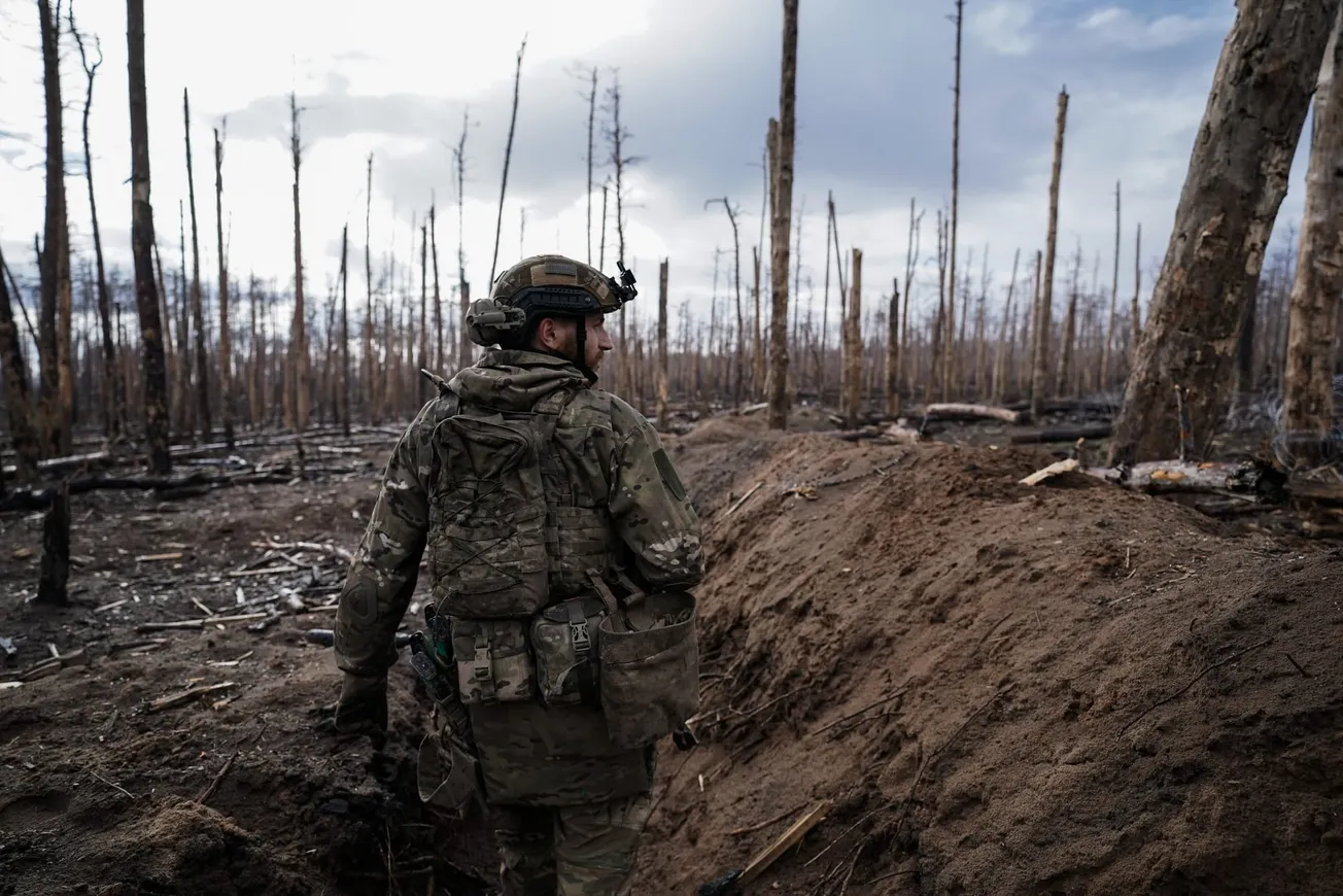 War-burned Ukraine forests may pose reconstruction challenge, study finds