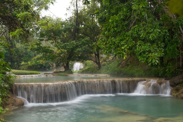 1/10/25-Friday-Day 35		     “A Bittersweet Day”