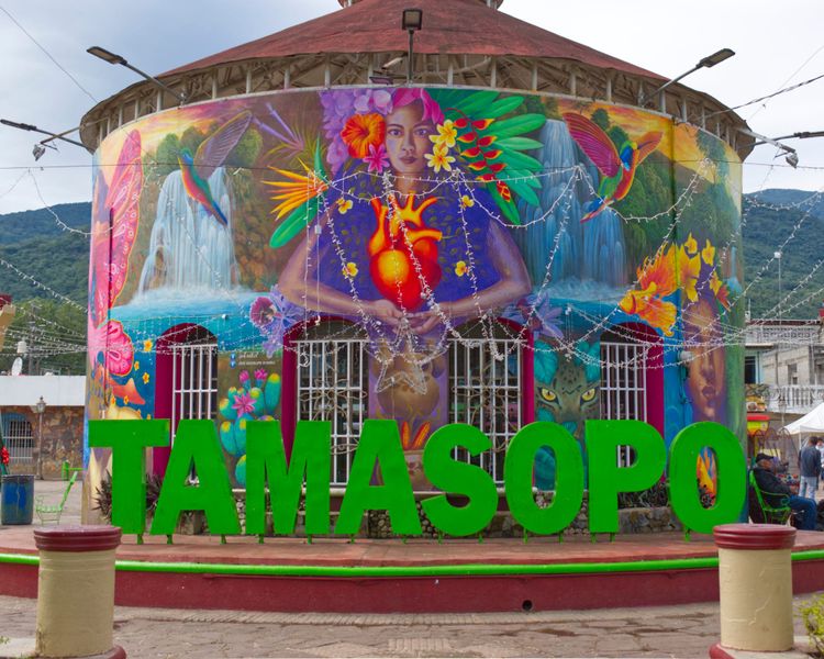 1/11/25-Saturday-Day 36 		“Saying Goodbye”