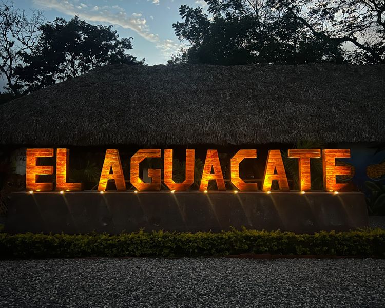 1/15/25-Wednesday-Day 40		“The Avocado”