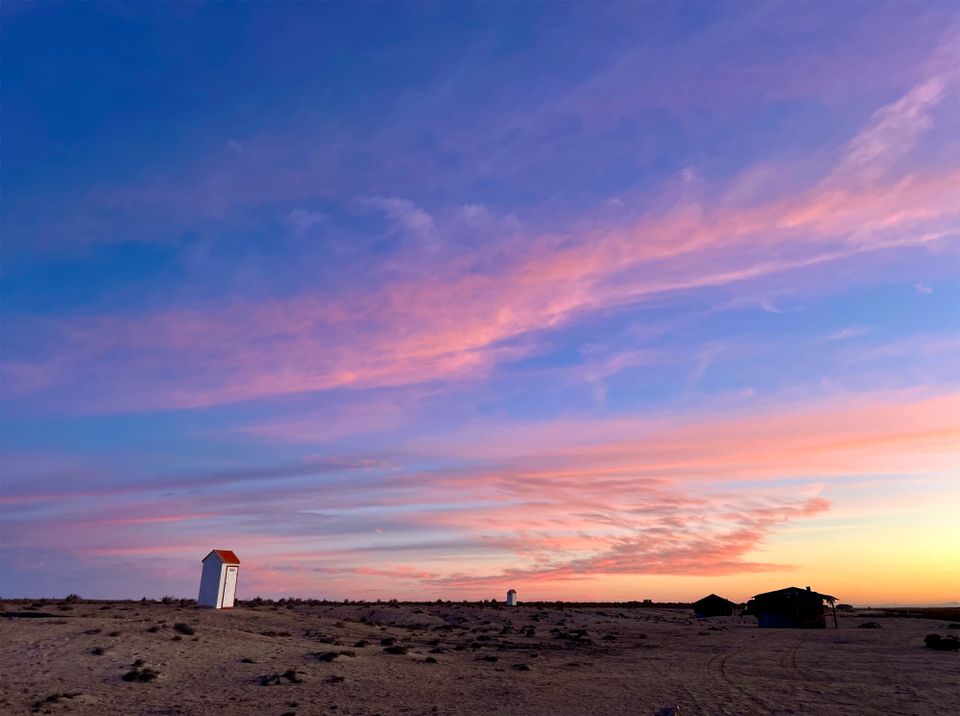 12/11/24-Wednesday-Day 5 	“Whales? An Inspection and Pie!”