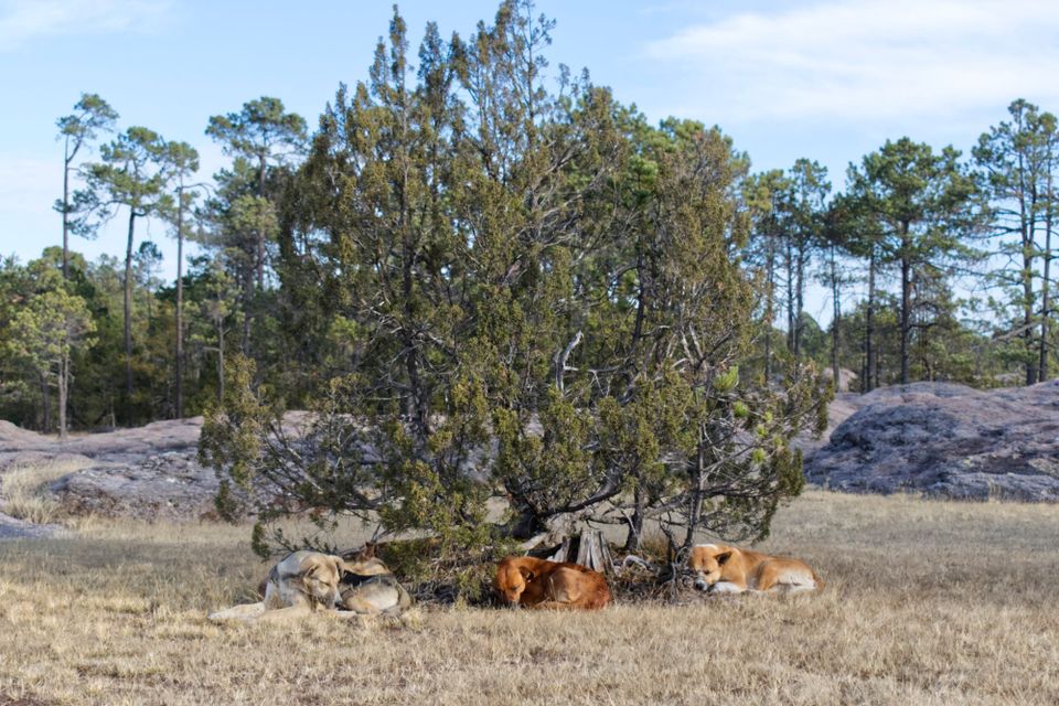 1/3/25-Friday-Day 28 	“Debriefing and Hot Springs”