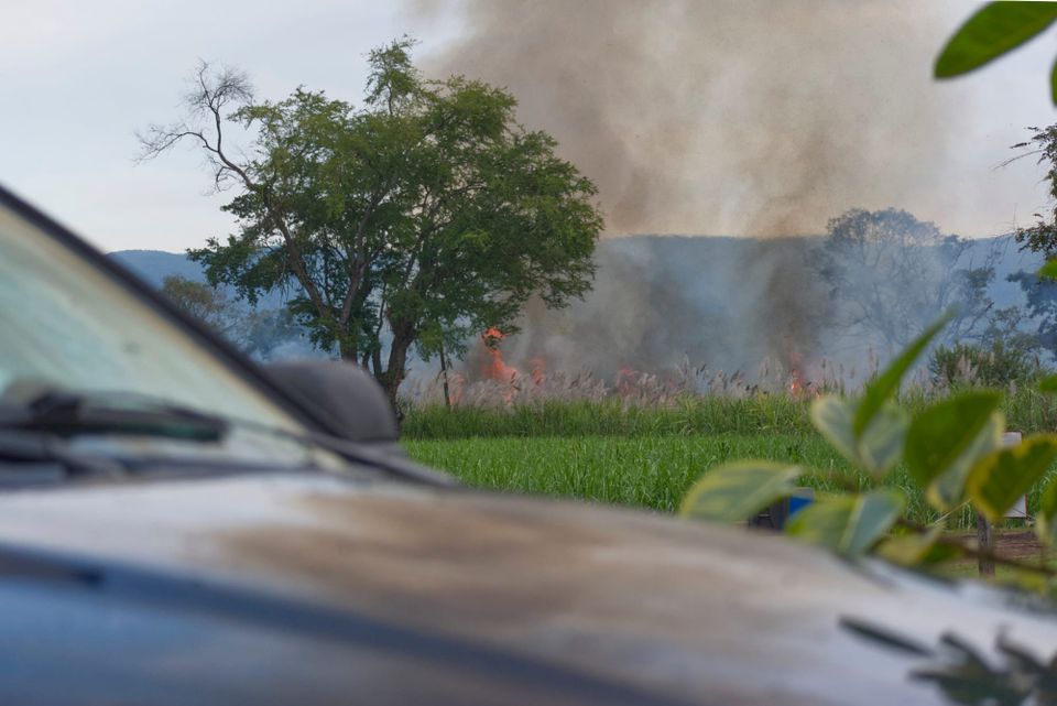 1/12/25-Sunday-Day 37	    “Fields Ablaze”