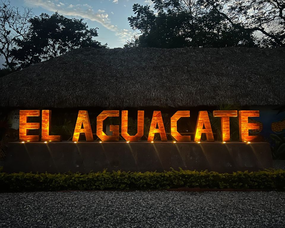 1/15/25-Wednesday-Day 40		“The Avocado”