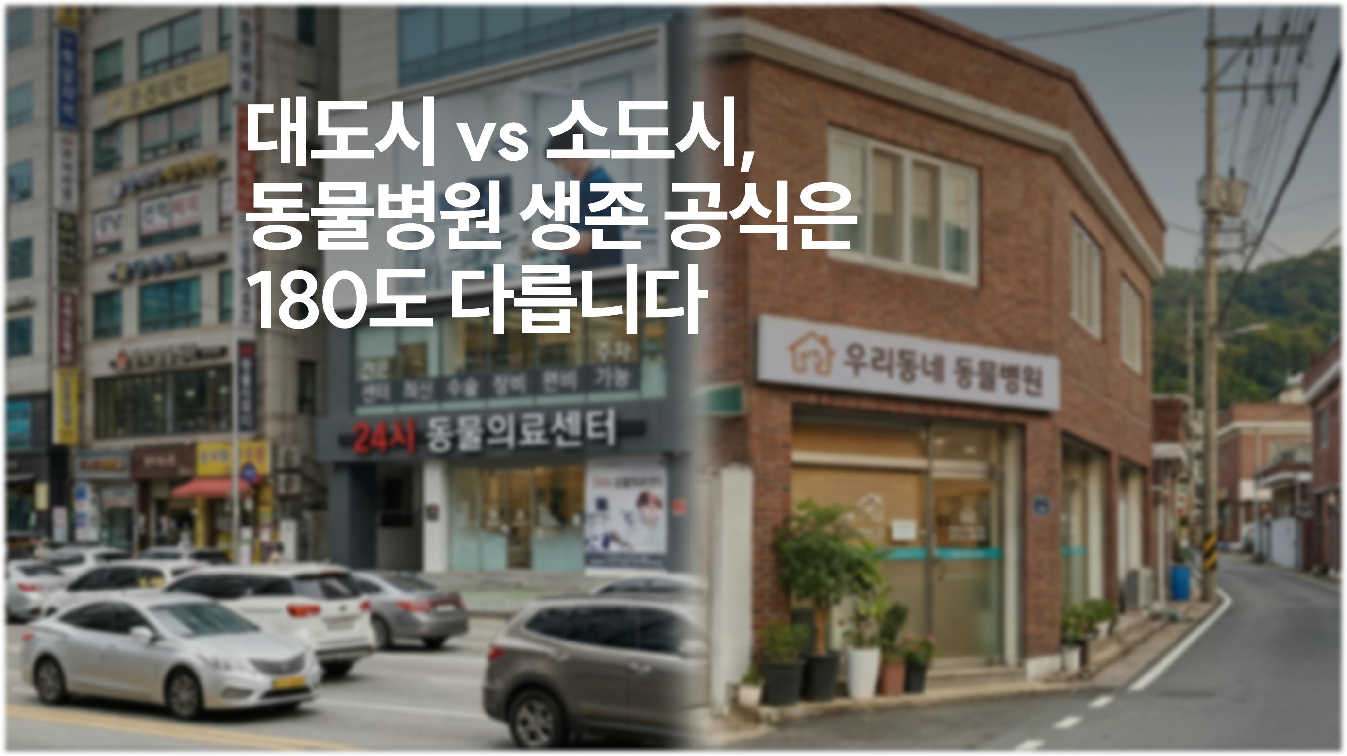 대도시 vs 소도시, 동물병원 생존 공식은 180도 다릅니다