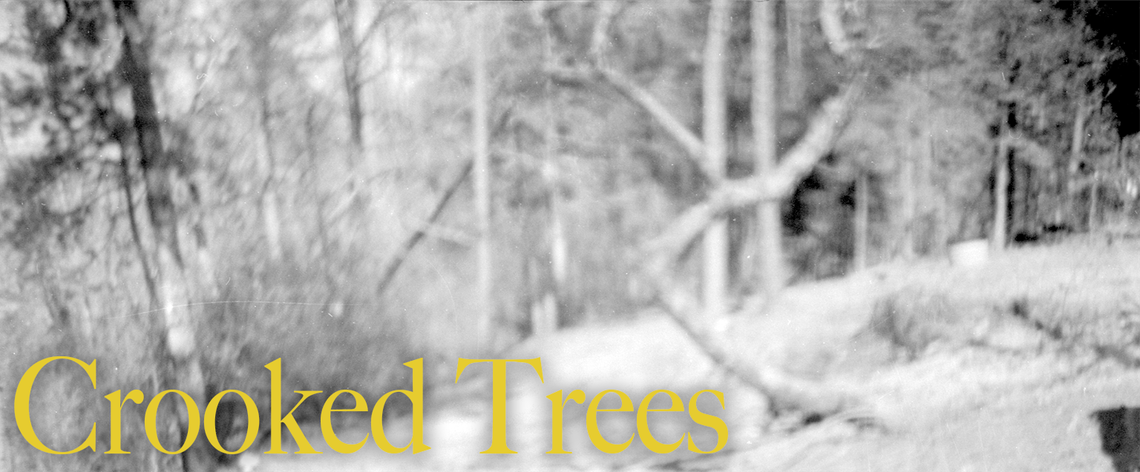 Crooked Trees