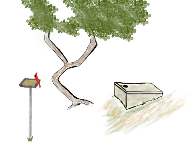 Before the well runs dry