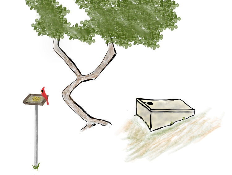 Before the well runs dry