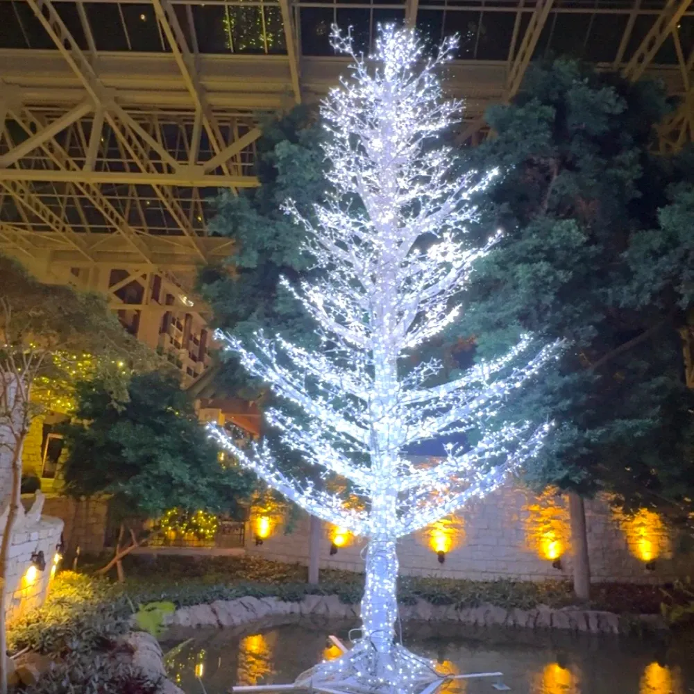 Is the Gaylord Texan Christmas Experience Worth It?