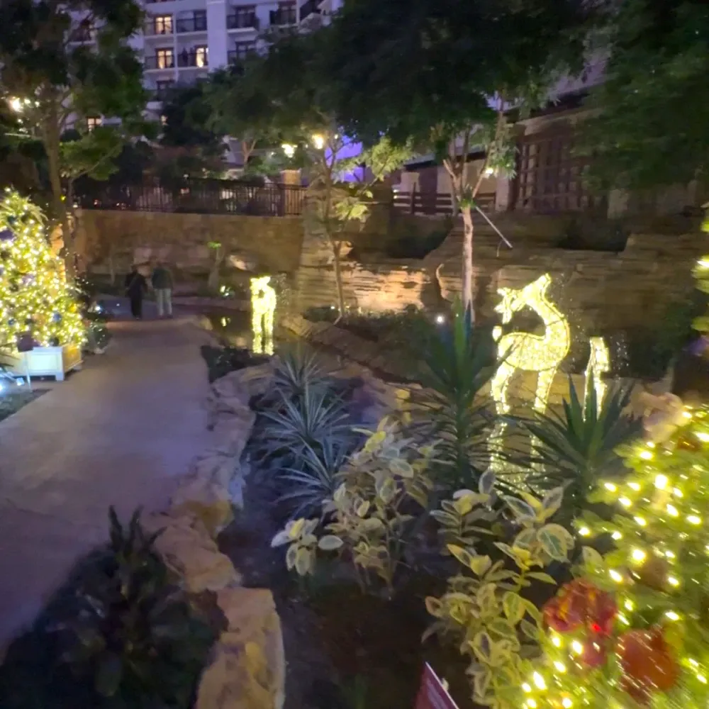 Festive Activities & Holiday Shows at Gaylord Texan