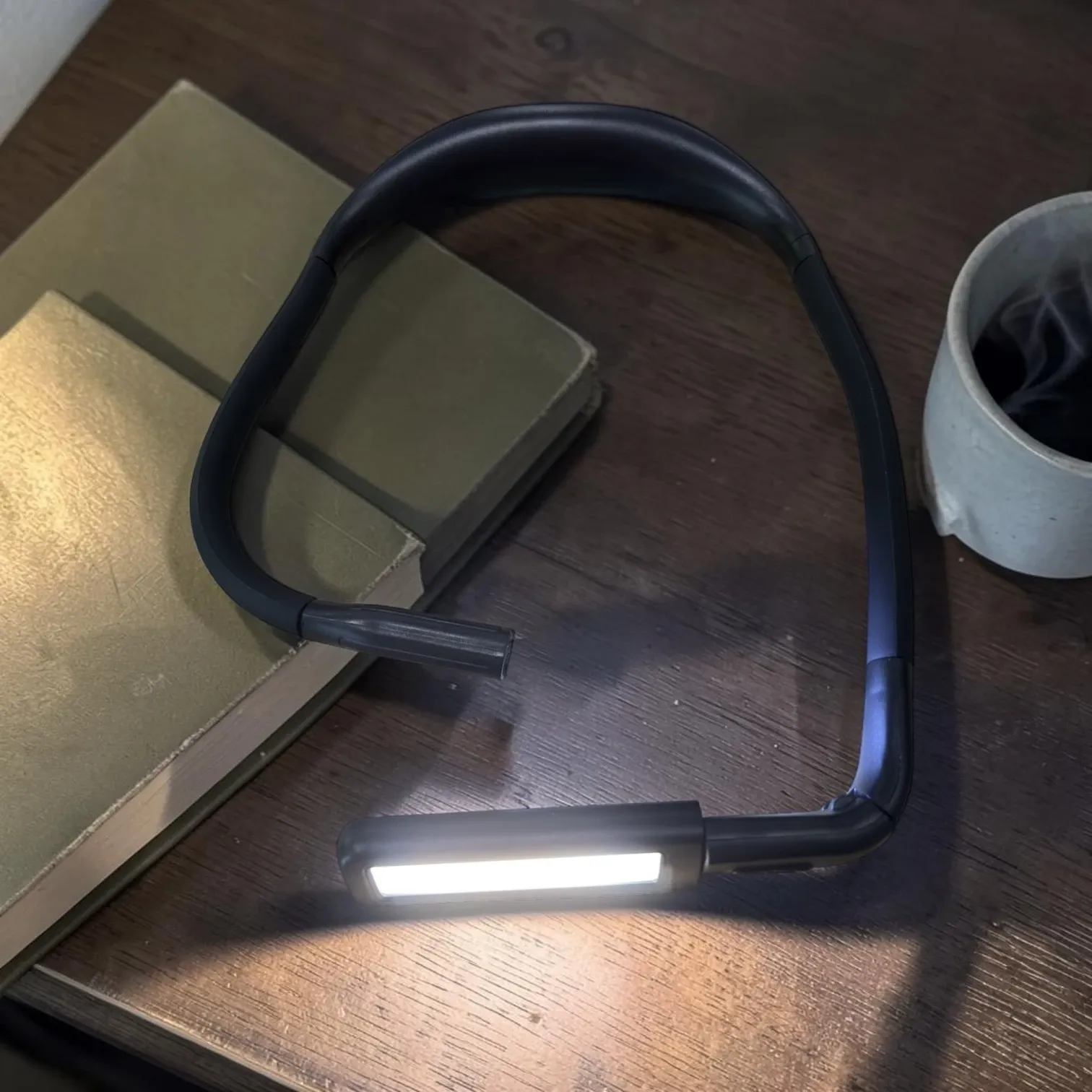 My Pick_ EastPin Upgraded Neck Reading Light