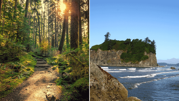 Things to Do in Olympic National Park: The Ultimate Guide to an Unforgettable Visit 🌲🏔️