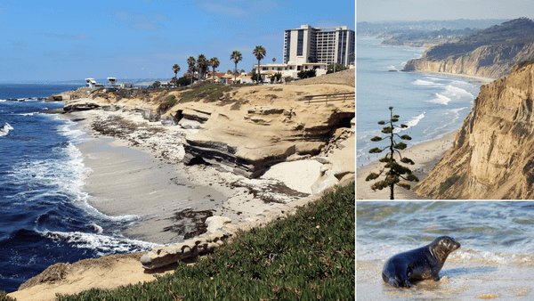 Adventures Await: Top Things to Do in La Jolla, California