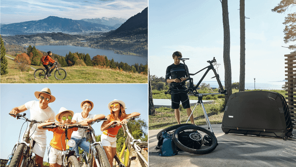 Bike Travel Case
