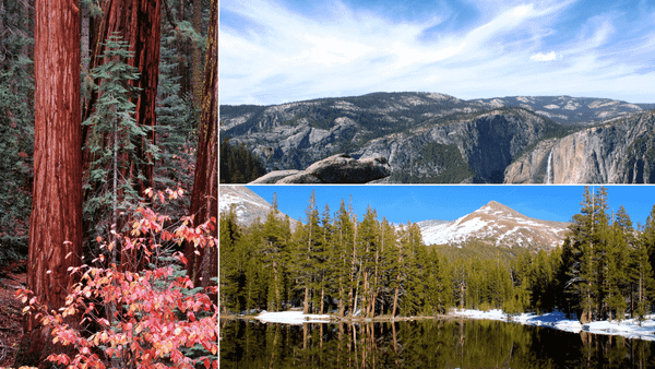Must See Places in Yosemite National Park