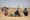 Afghan families rest on the ground after being deported from Iran at the Islam Qala crossing in Afghanistan.